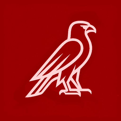 Falcorubis, agence de conseil en stratégie numérique